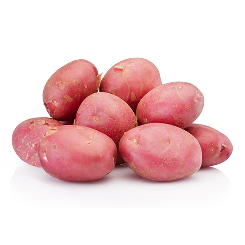 Lady-Rosetta-Potato